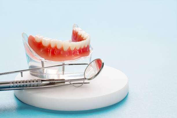Best Preventive Dentistry  in Lumberton, TX